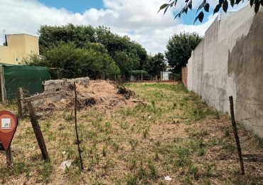  LOTE 300m2