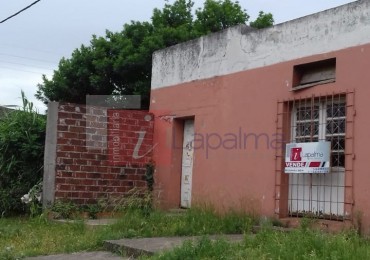 ZONA UNIVERSIDAD E.R. : Terrreno 1000m2